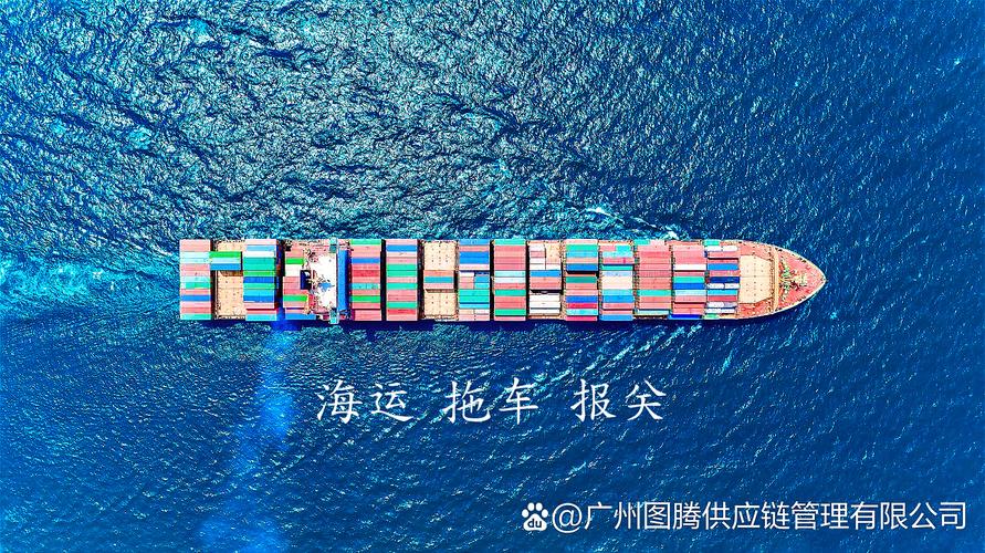报关"四大核心环节,为您提供无缝衔接,高效可靠的一站式物流服 供应链